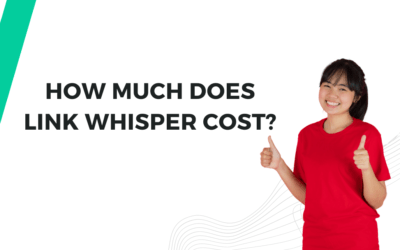 How Much Does Link Whisper Cost?